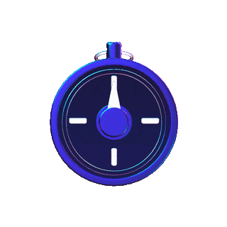 Fast setup animation